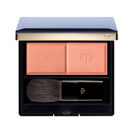 POWDER BLUSH DUO