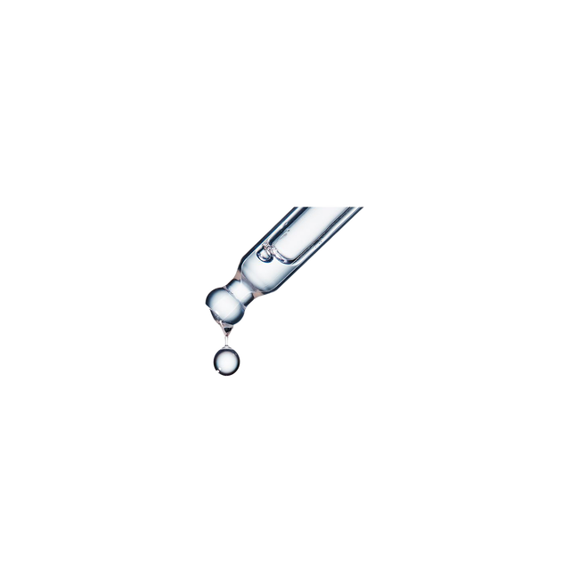 ユイルレパラトゥリス