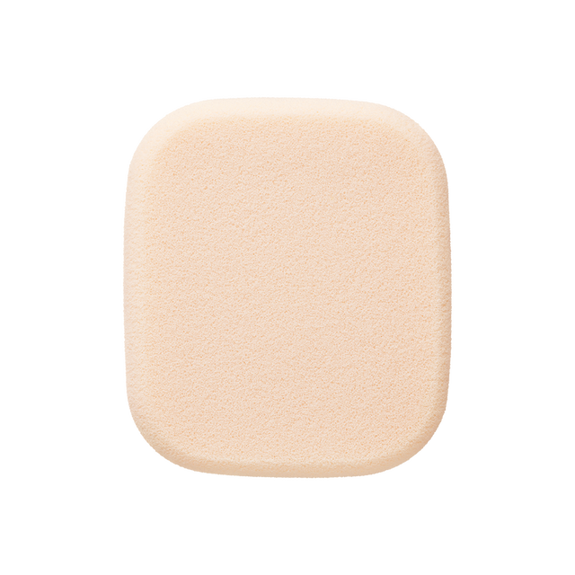 スポンジ　（タンプードルエクラⅡ）