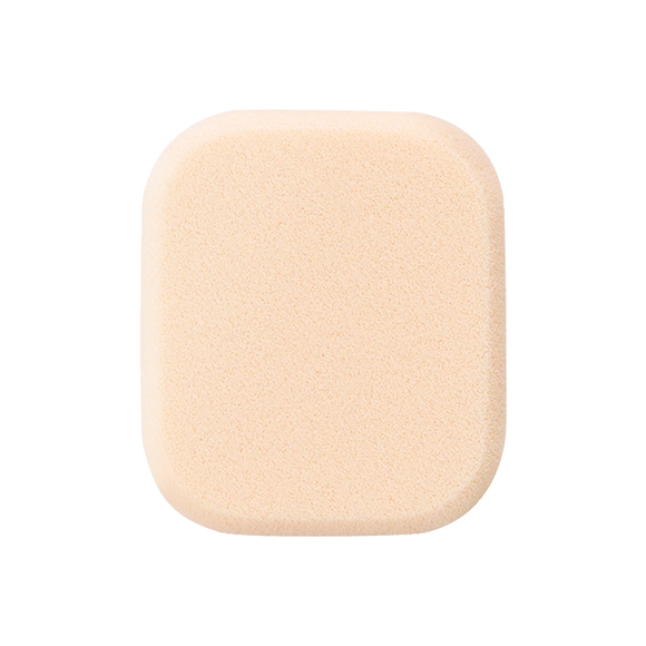 スポンジ（タンプードルエクラ）