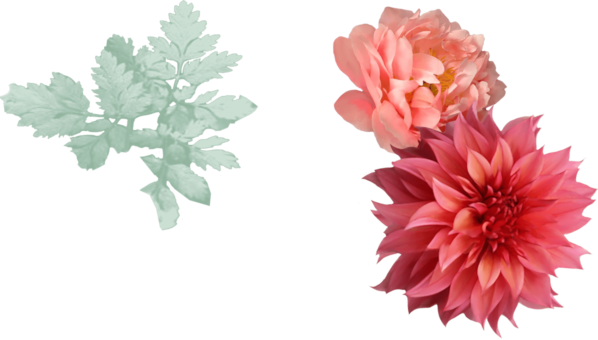 flower 1