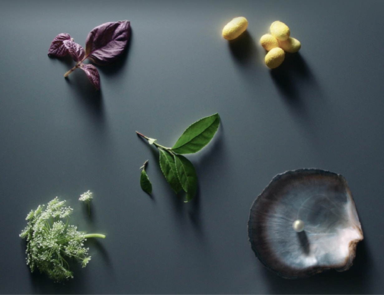 みずみずしくすこやかな輝きをもたらす独自成分スキンイルミネイター