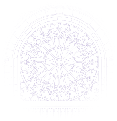 どこまでも自由に、想像の翼をひろげて。2024年9月21日(土)予約開始