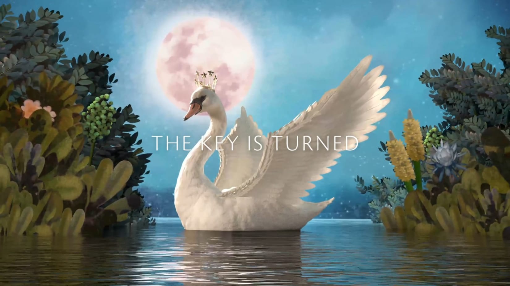 video cover