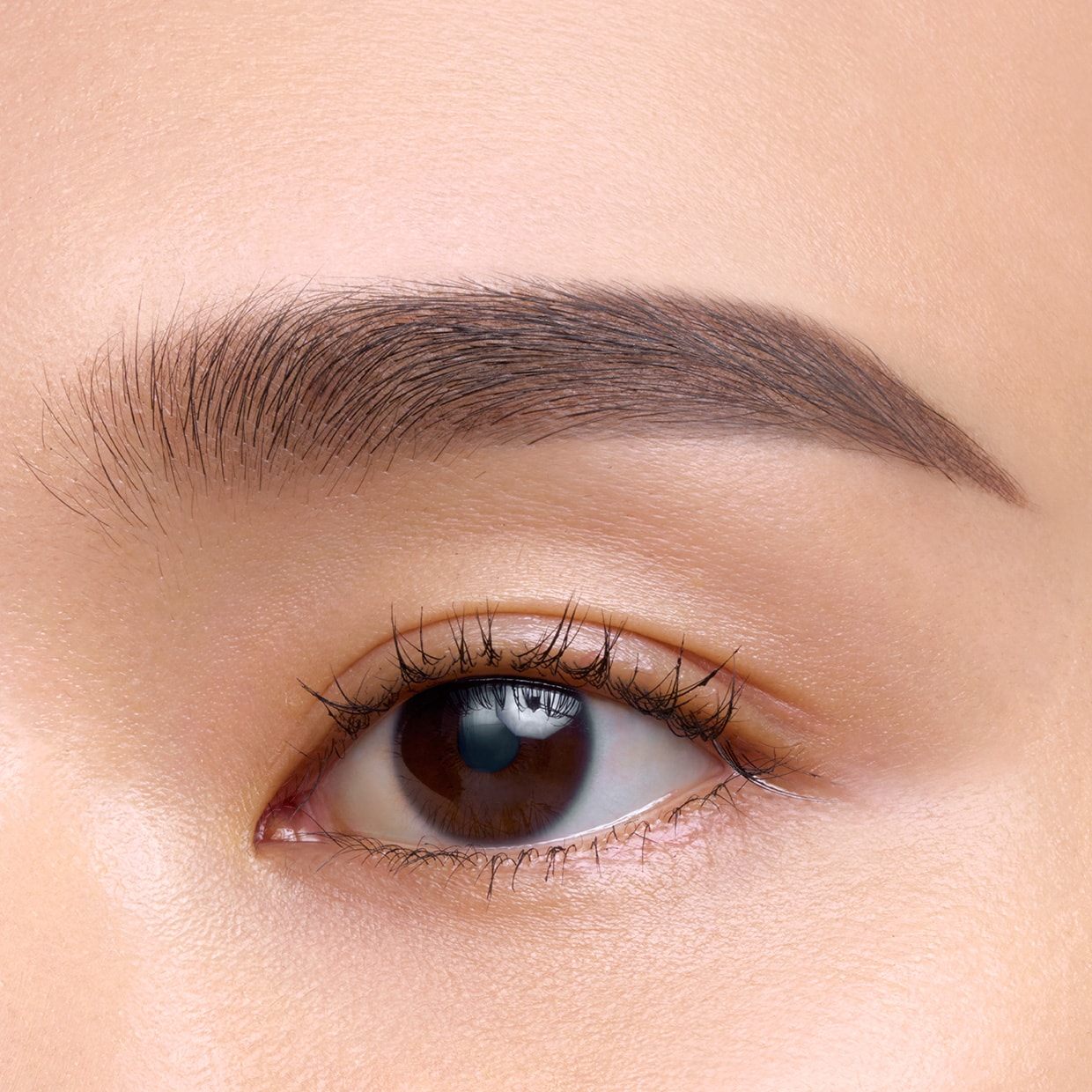 Eyebrow Gel Eyebrow MAKEUP Cl de Peau Beaut International