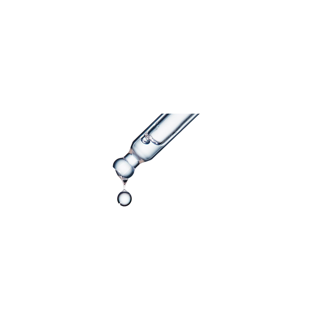 ユイルレパラトゥリス