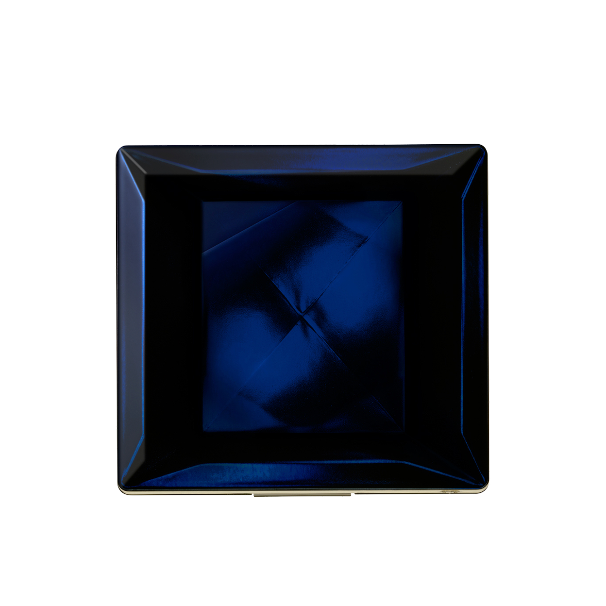 ケース（ブラッシュデュオプードル）