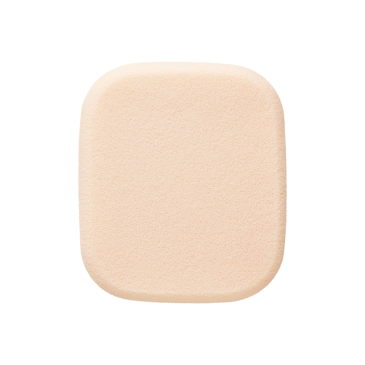 スポンジ　（タンプードルエクラⅡ）