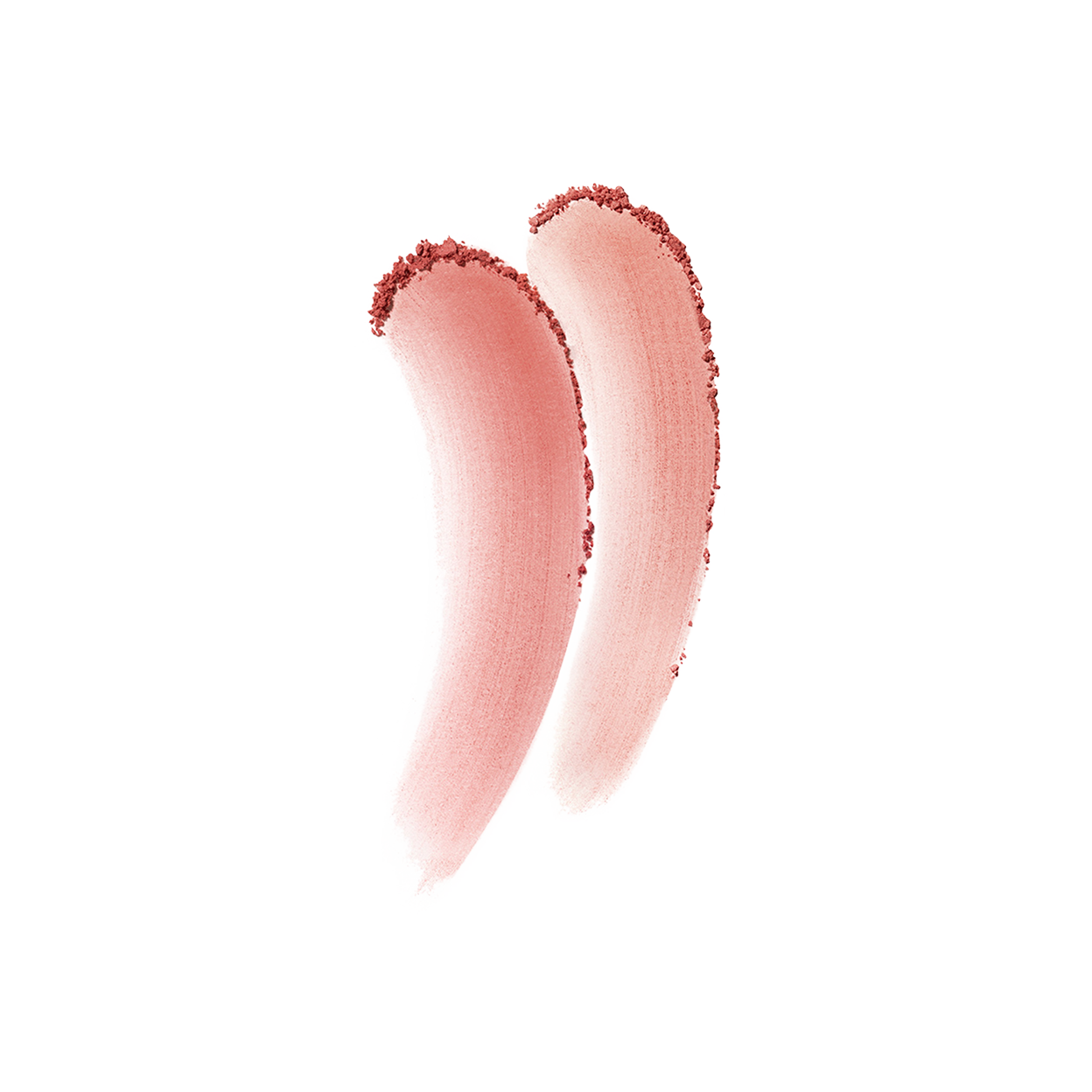 ブラッシュデュオプードル（レフィル）