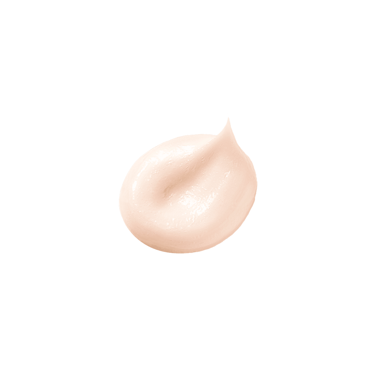 ムースネトワイアントＡ ｎ