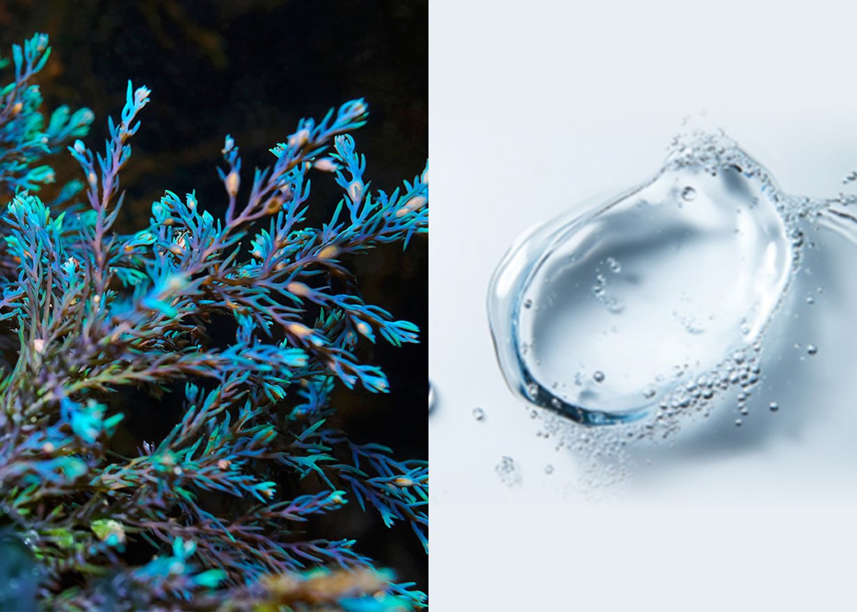 先端のエピジェネティクス研究に着目